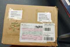 IMG-20231221-WA0001