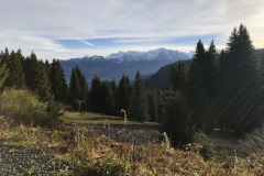 Maximilian-Vielhauer-von-Hohen_IMG_5683