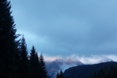 Frederika-Marquordt_20231115_154905